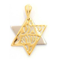 Gold Filled Shema Two Color Star of David Pendant